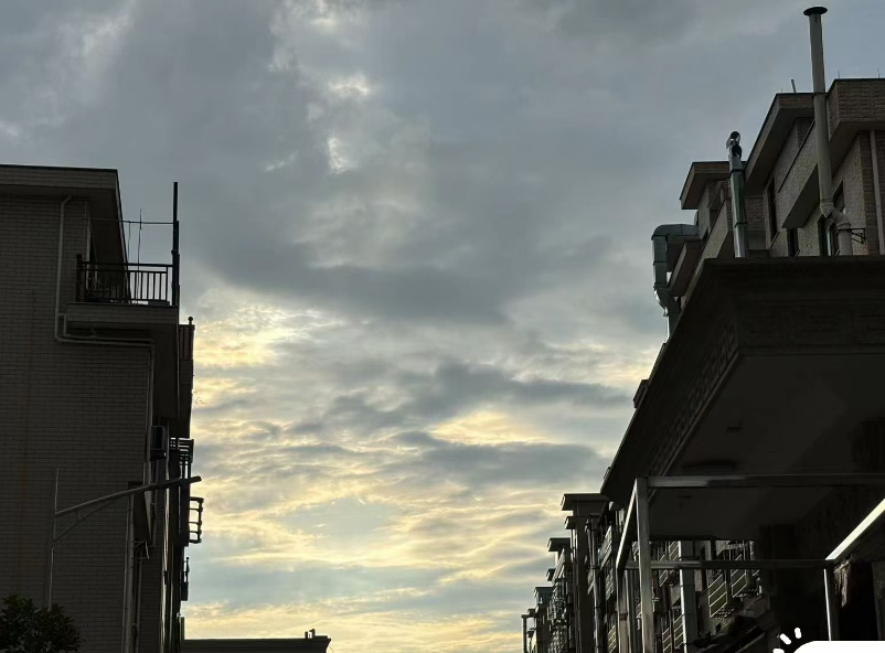 广州侦探调查：什么叫伪婚